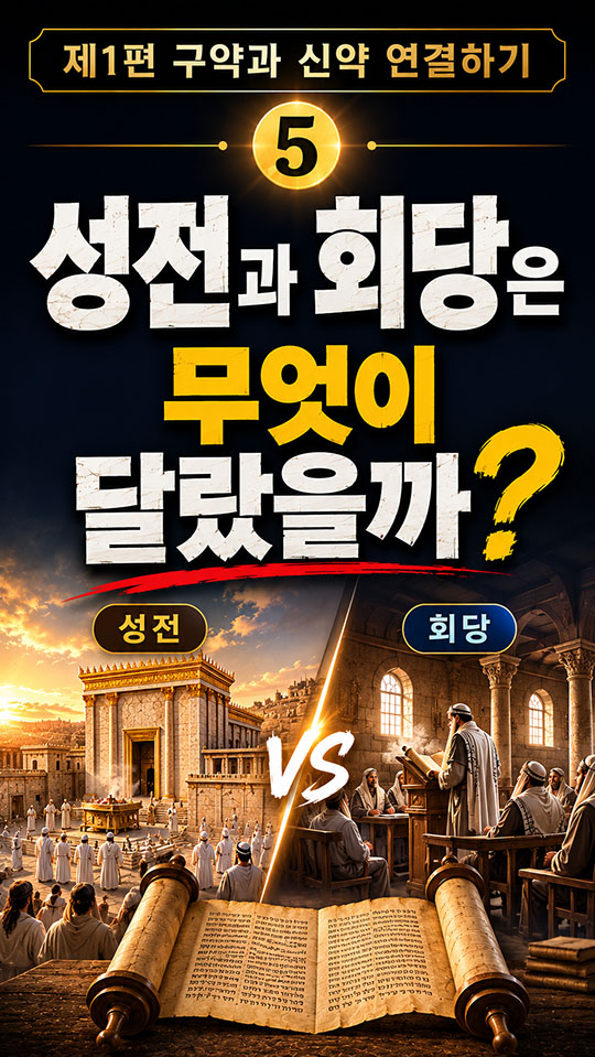 5번 영상