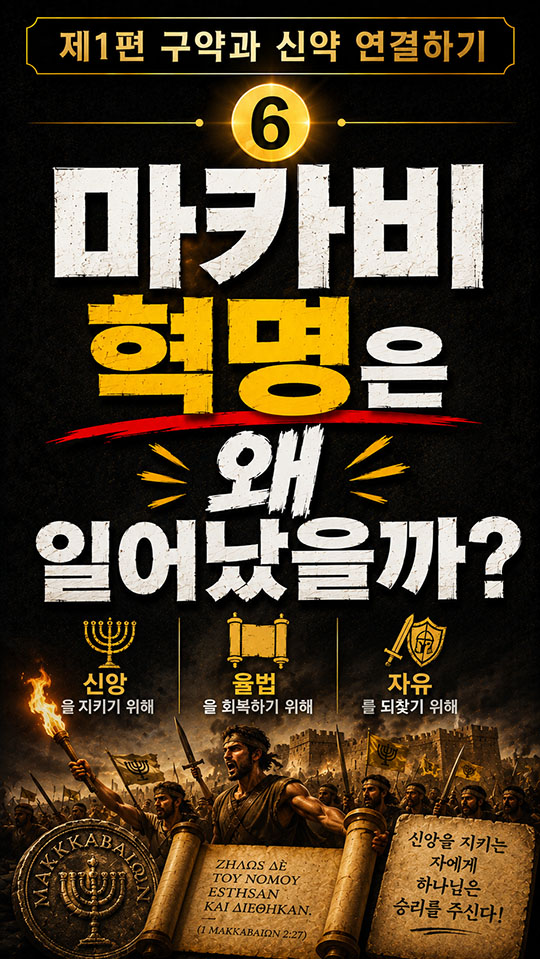 6번 영상